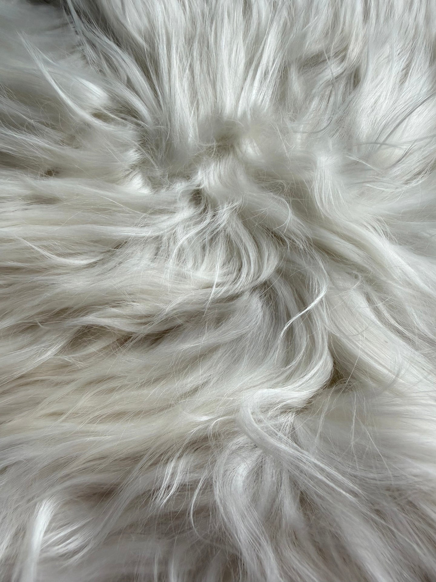 BLANCO NATURAL | ALPACA | PELO LARGO
