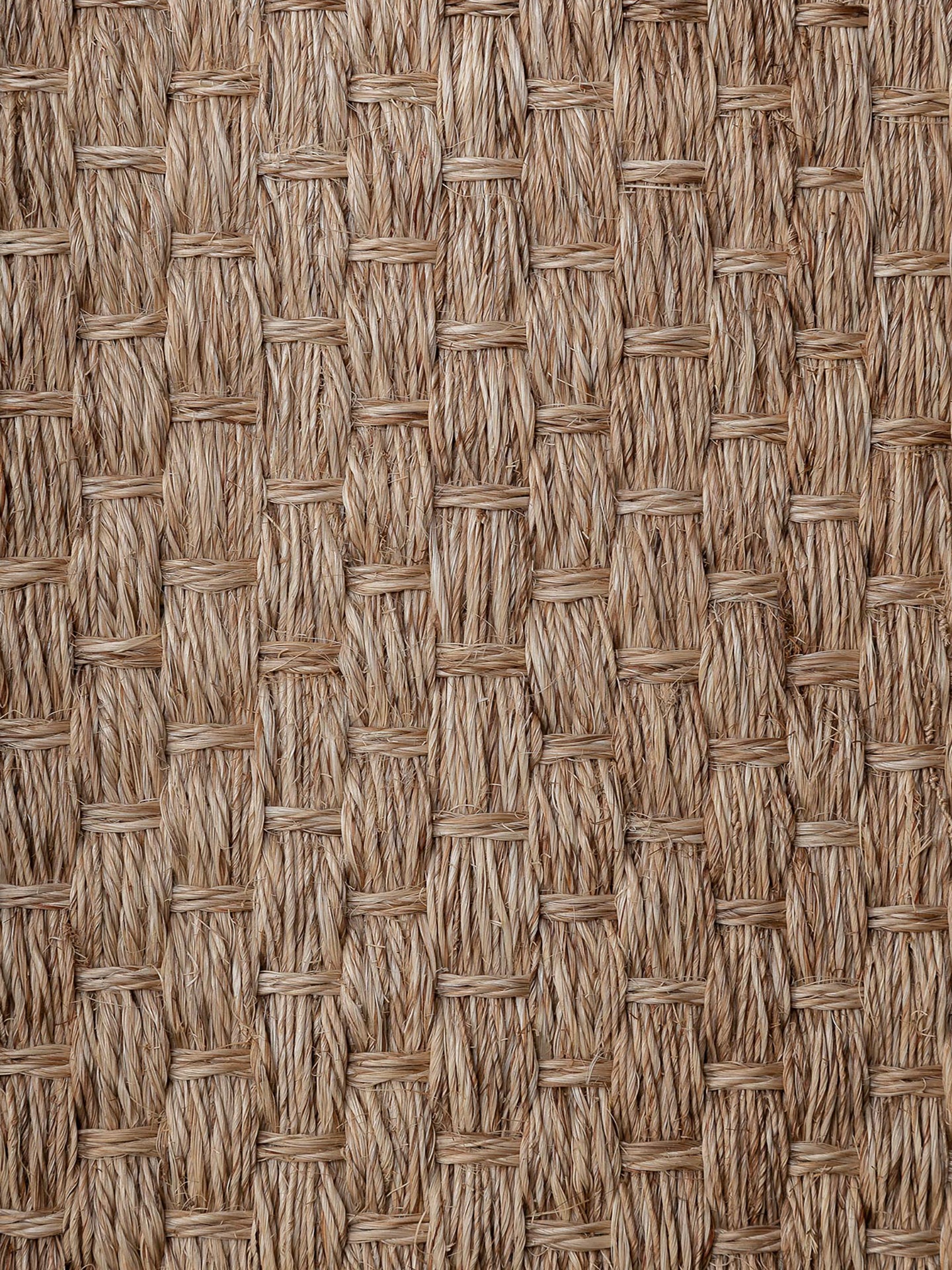 BOREAL OVAL | NATURAL