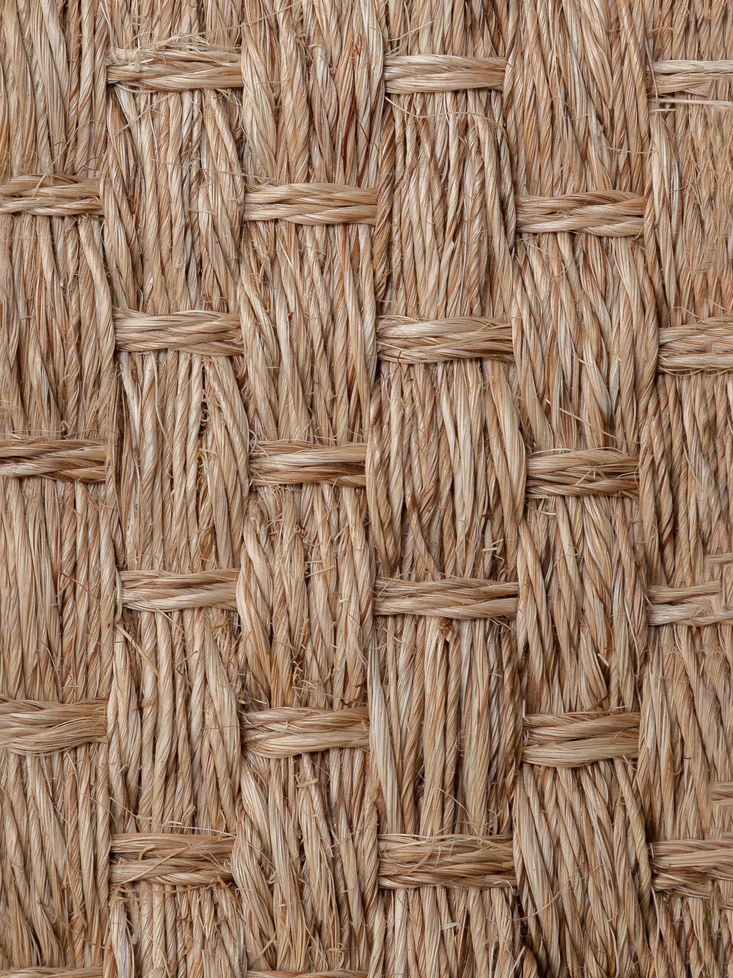 BOREAL OVAL | NATURAL