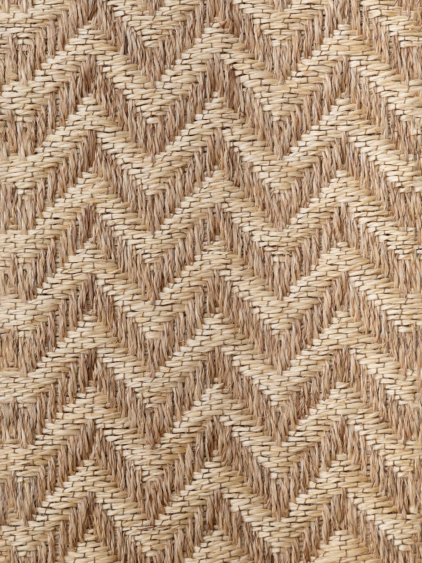 ZIGGY | MORENO CLARO & BLANCO