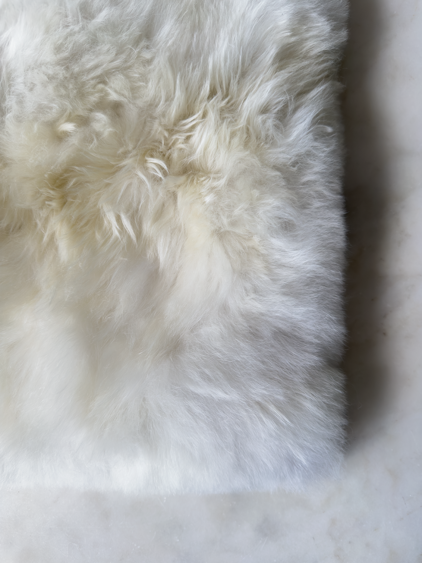 BLANCO NATURAL | ALPACA | PELO CORTO