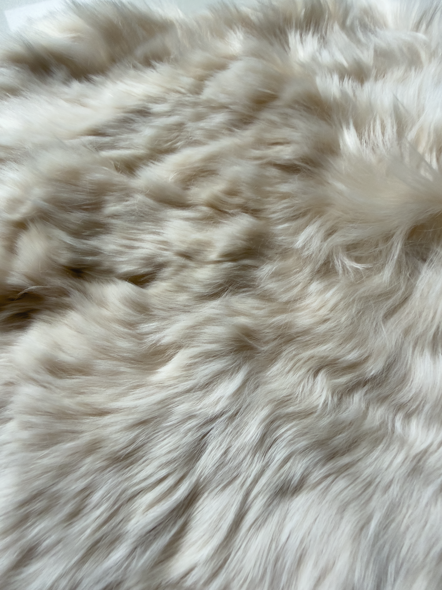 BEIGE NATURAL | ALPACA | PELO LARGO