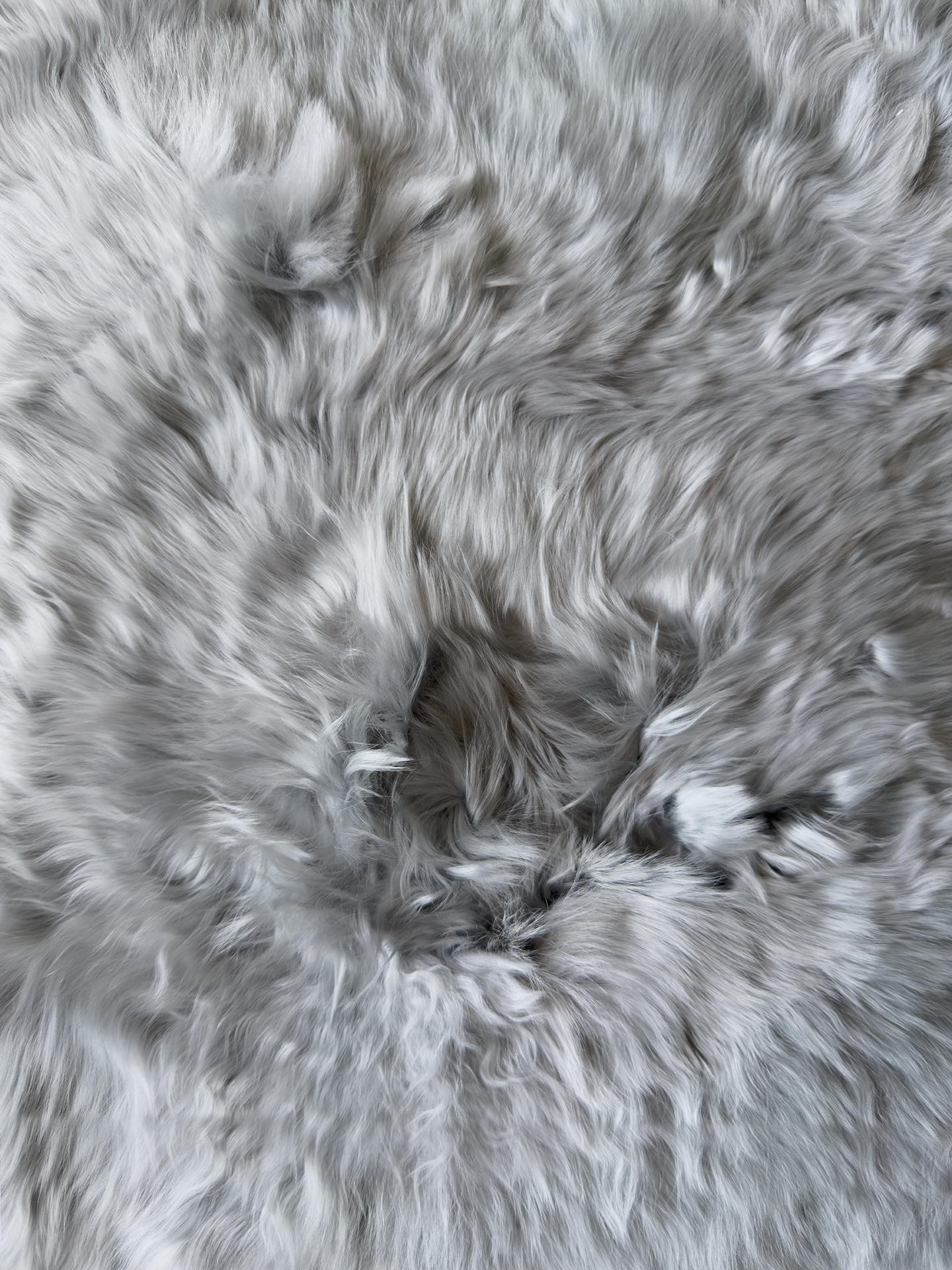 GRIS NATURAL | ALPACA | PELO LARGO