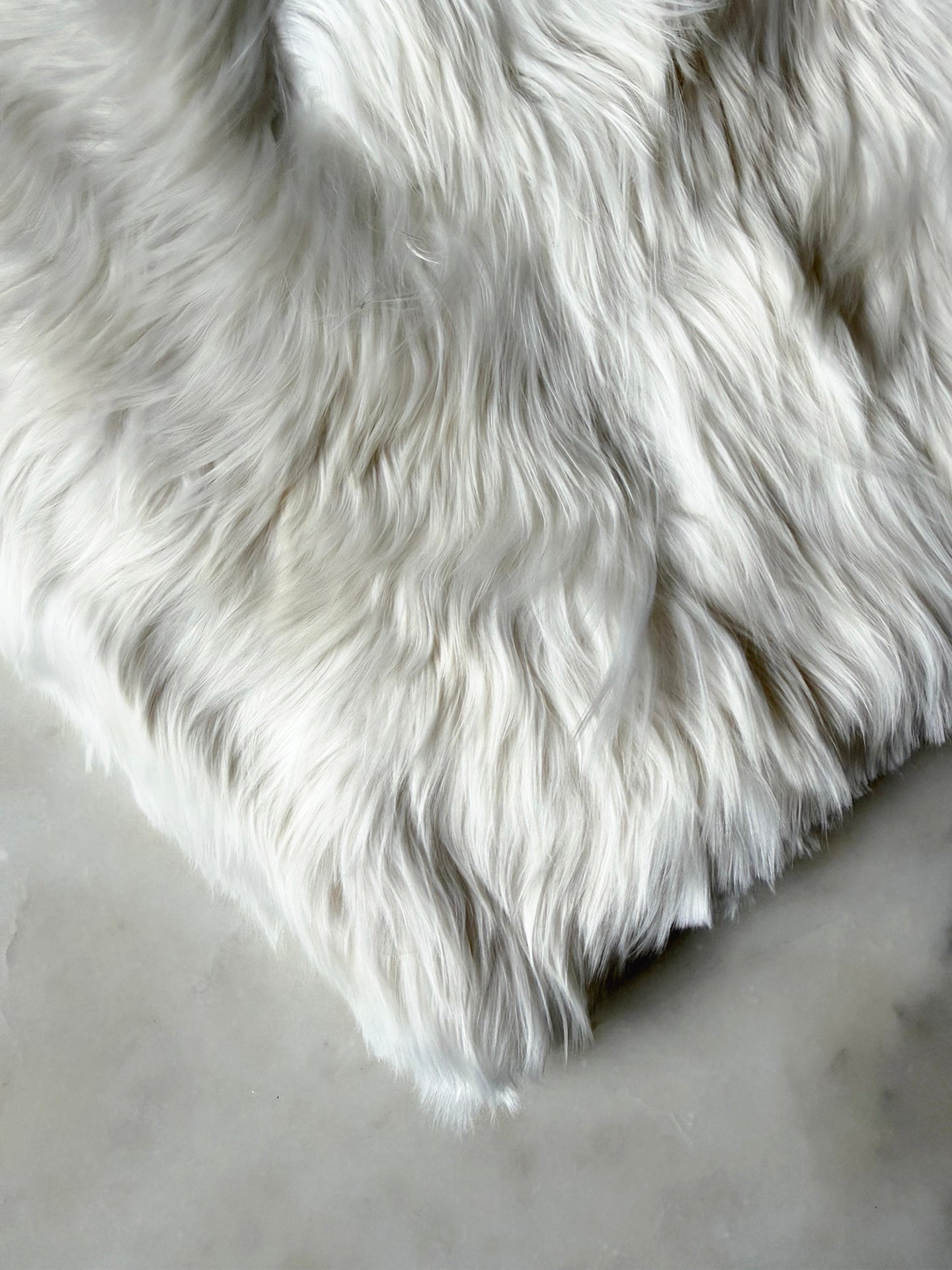 BLANCO NATURAL | ALPACA | PELO LARGO