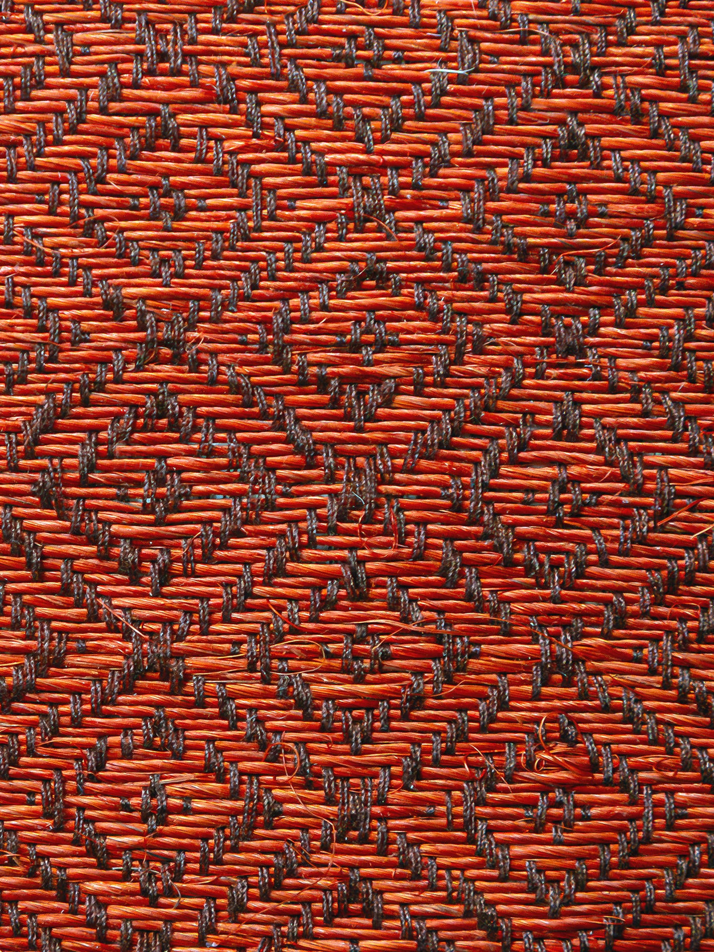 INCA N|11